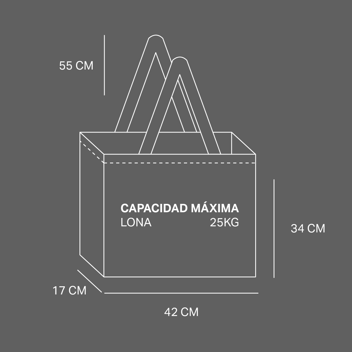 Bolsa Ecológica eco 58 - Imagen 3